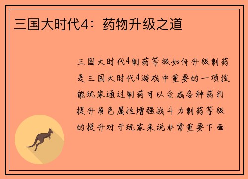 三国大时代4：药物升级之道